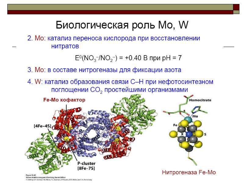 Химия d элементов презентация