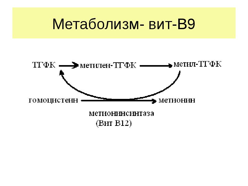 Метаболизм вит ,12. Метаболизм витамина а.