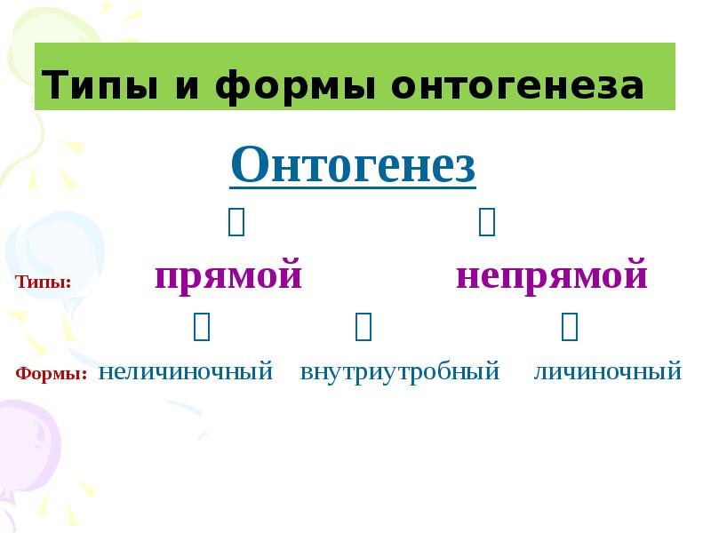 Типы онтогенеза