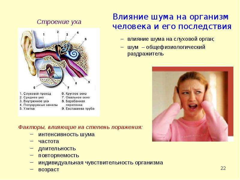 Влияние шума на организм. Влияние шума на человека. Воздействие шума на человека. Воздействие шума на организм человека.