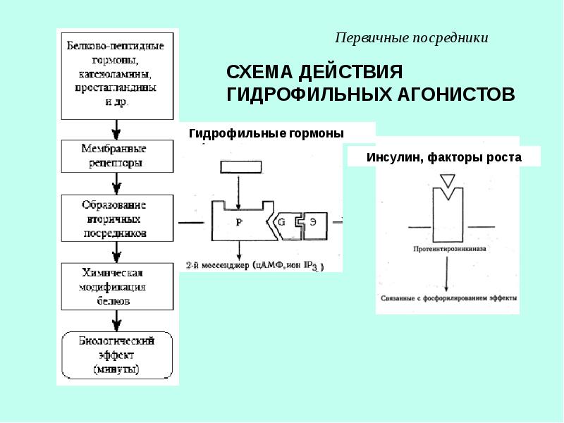 Схема действий это