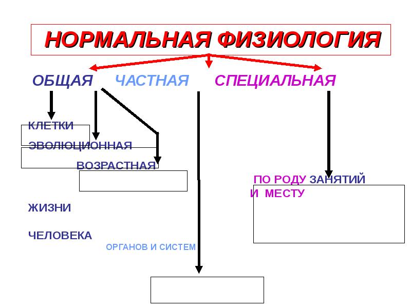 Нормальная физиология. Общая /частная и специальная физиология. Физиология кластер. Функции нормальной физиологии. Нормальная физиология темы.