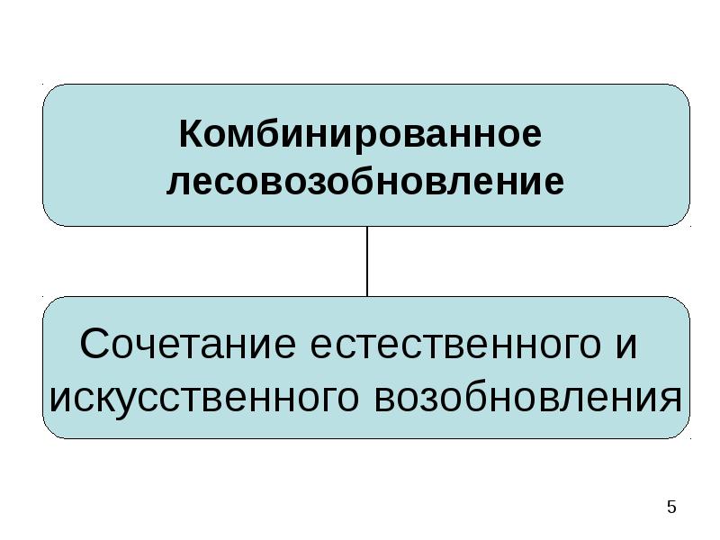 Возобновление. Естественное и искусственное возобновление леса. Виды естественного лесовозобновления. Недостатки естественного лесовозобновления. Дипломная работа естественное лесовозобновление.