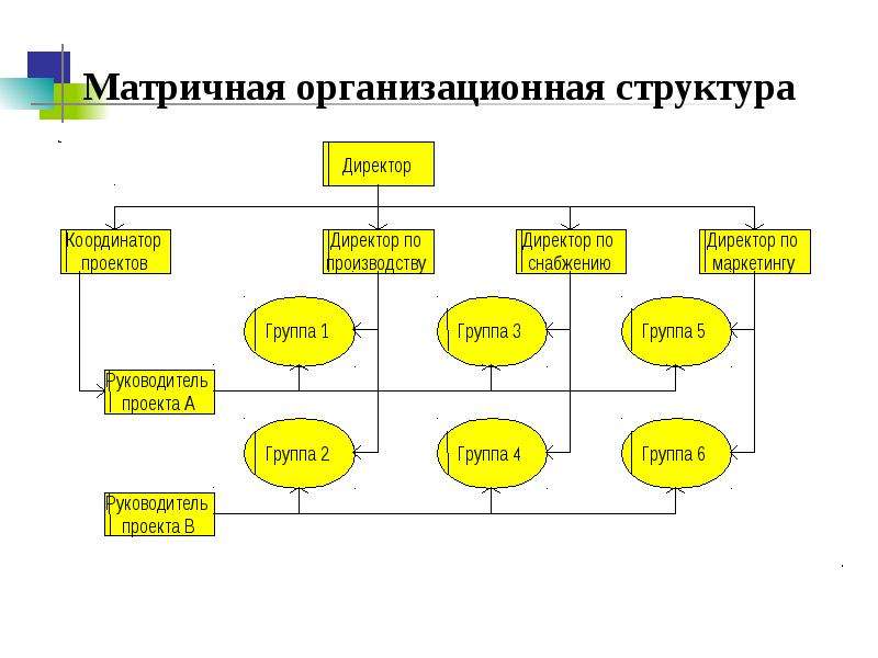 Диаграмма организационной структуры