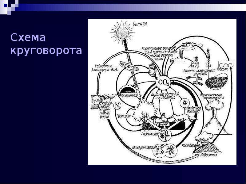 Круговорот кремния в природе схема