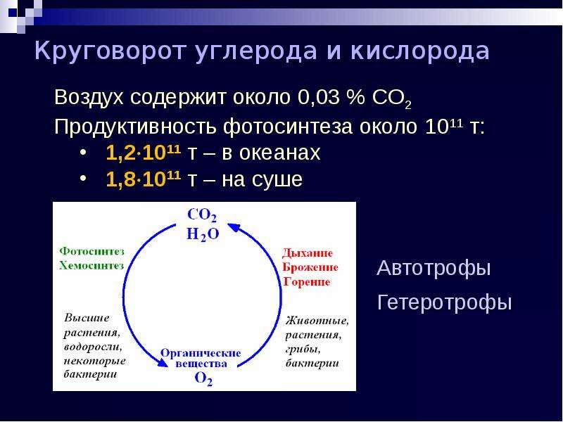 Круговорот кислорода процессы. Круговорот углерода и кислорода. Углеродный цикл. Углеродный цикл на солнце. Звенья процесса дыхания.