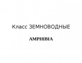 Класс ЗЕМНОВОДНЫЕ AMPHIBIA