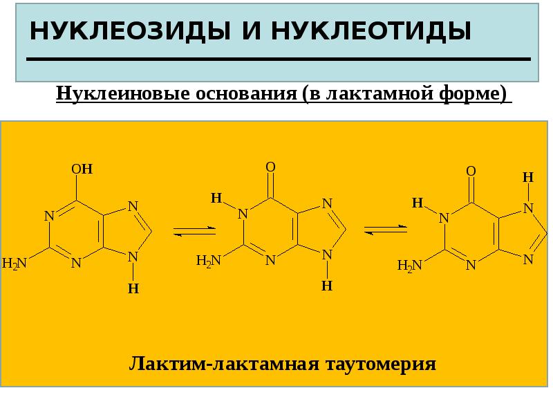 Нуклеиновые кислоты презентация по химии 10 класс профильный уровень