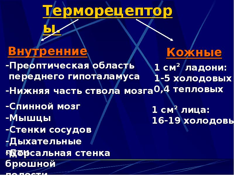 Мышцы стенок кишечника участвуют в терморегуляции. Механизм повышения температуры. Механизм регуляции температуры тела. Механизм подъема температуры тела. Механизм понижающий температуру тела.