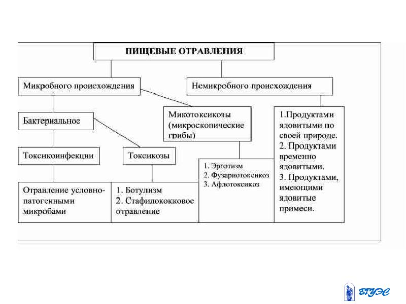 Пищевое отравление схема