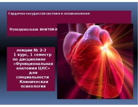 ССС и Спланхнология