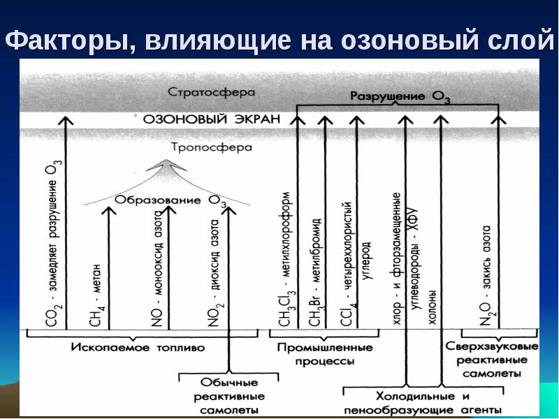 История взаимоотношений человека и природы презентация