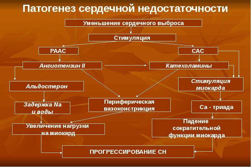 Патогенез хсн схема