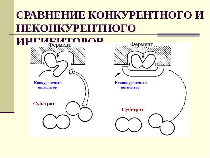 Конкурентное ингибирование ферментов. Конкурентное и неконкурентное ингибирование ферментов. Конкурентное ингибирование ферментов примеры. Пример неконкурентного ингибирования фермента. Конкурентное ингибирование примеры.