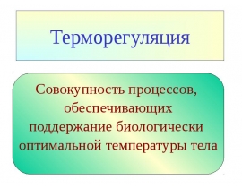 Терморегуляция
