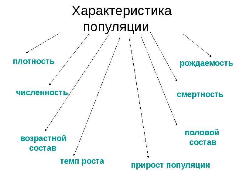 Экологическая характеристика популяции презентация 11 класс