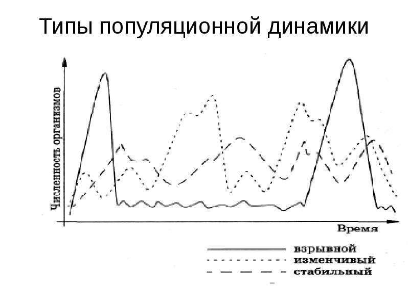 Стабильный тип. Стабильный Тип динамики популяции. Взрывной Тип популяционной динамики. Изменчивый Тип динамики популяции. Типы популяционной динамики график.