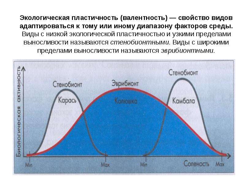 Окружающее предел. Экологическая пластичность. Экологические группы с широкими пределами выносливости и узкими. Экологическая пластичность видов. Широкие и узкие пределы выносливости.