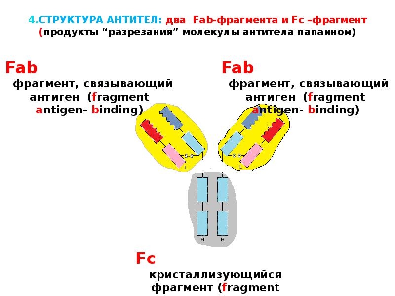 Функция фрагментов