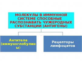 антигены и антитела