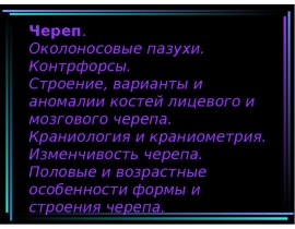 Череп. Околоносовые пазухи