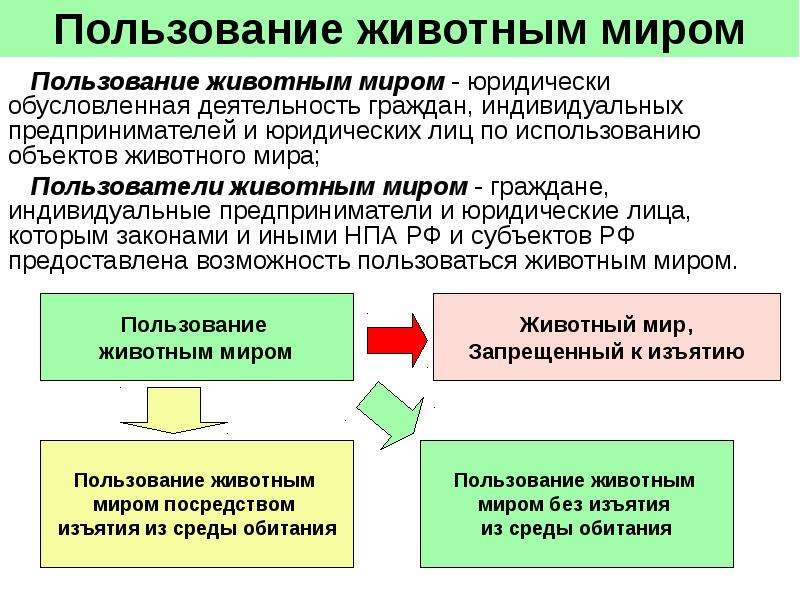 Сбор за пользование животным миром. Пользование животным миром. Право пользования животным миром. Виды права пользования животным миром. Виды пользования объектами животного мира.