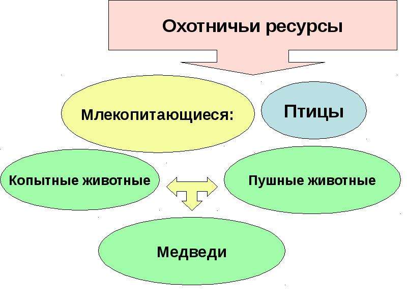 Правовой режим использования и охраны животного мира презентация