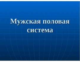 Мужская половая система