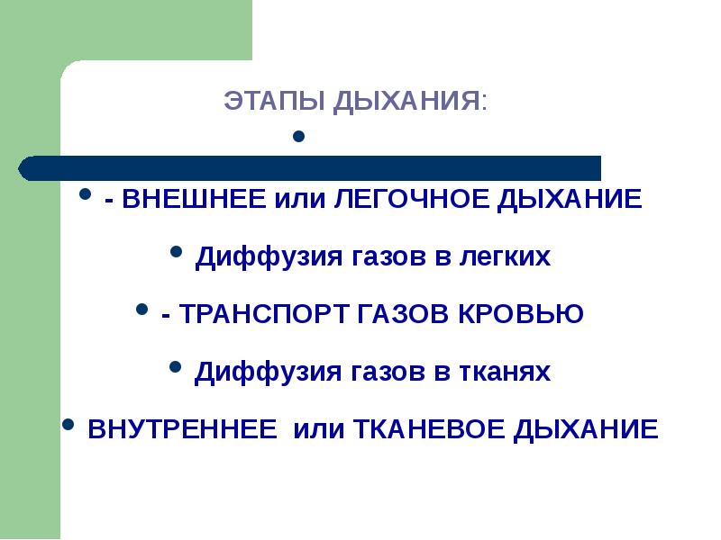 Внешнее дыхание презентация