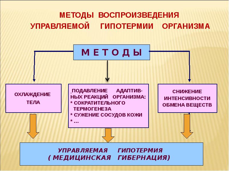 Методы организма. Управляемая гипотермия. Виды управляемой гипотермии. Гибернация. Механизм развития гипотермии в клинических условиях.. Типовые нарушения теплового баланса организма патофизиология.