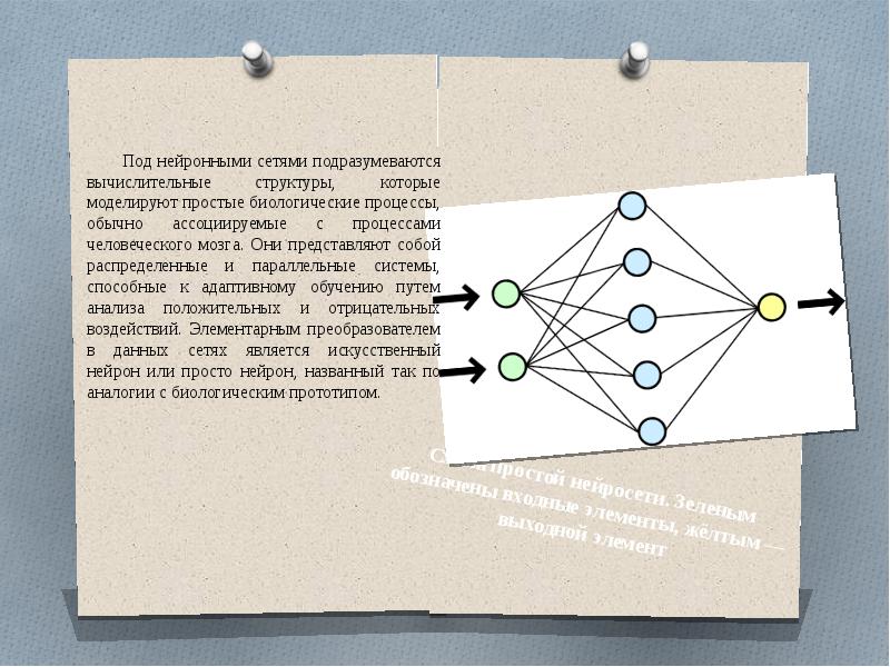 По бизнес плану четырехлетний проект предполагает начальное вложение 20 млн