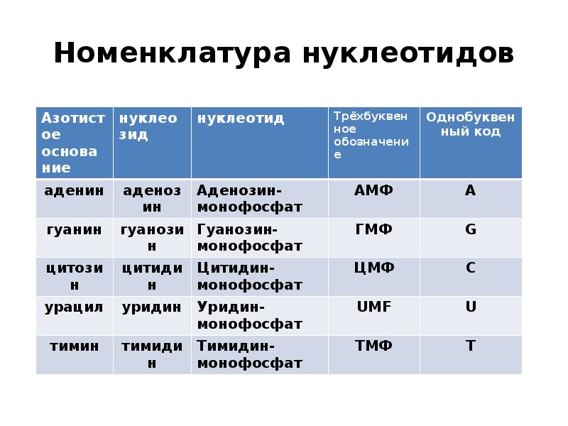 Обозначения нуклеотидов. Номенклатура нуклеотидов. Нуклеотиды: структура, классификация, номенклатура. Нуклеотиды строение и номенклатура. Номенклатура нуклеозидов и нуклеотидов.