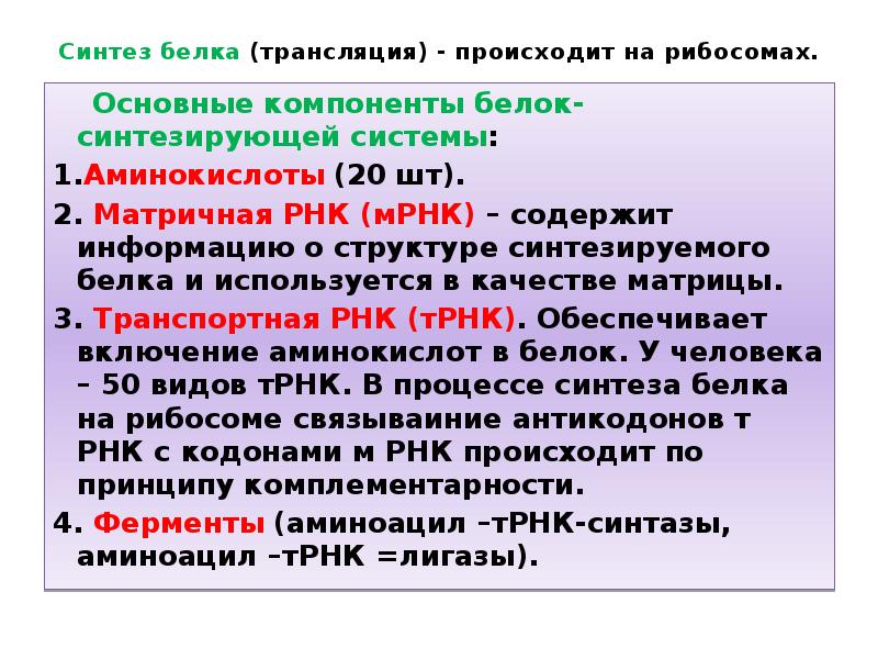 Синтез белков происходит. Трансляция Синтез белка. Основные этапы синтеза белков. Основные этапы синтеза белка. Синтез РНК И белков происходит в.