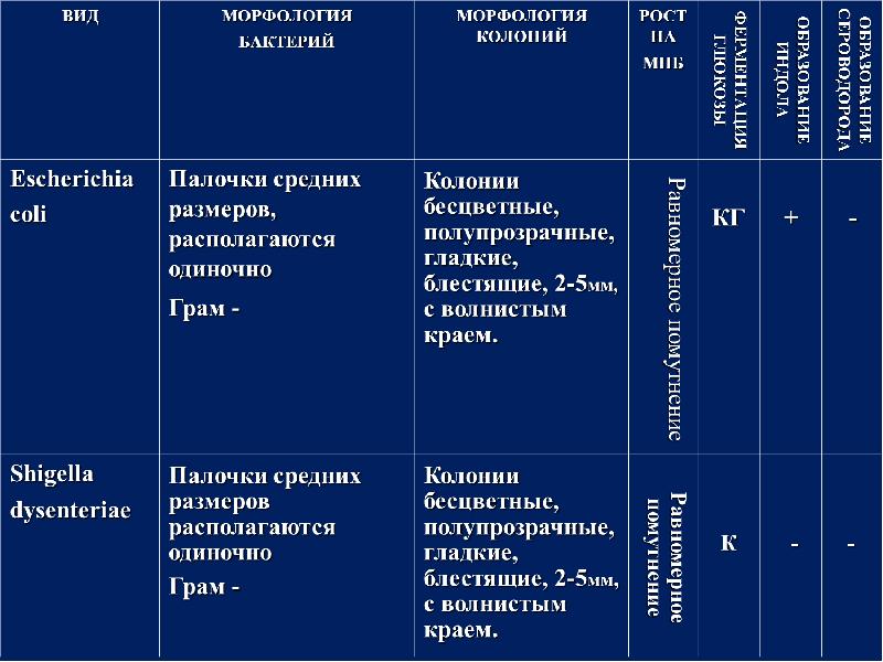 Микрофлора полости рта презентация