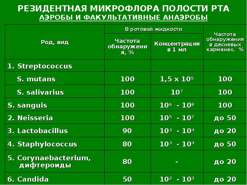 Количество рот. Облигатная микрофлора полости рта. Представители резидентной микрофлоры полости рта. Микроорганизмы нормальной микрофлоры полости рта. Нормальная микробиота ротовой полости.