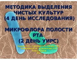 Микрофлора полости рта