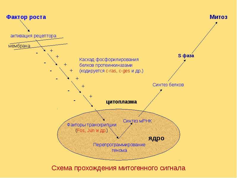 Схема прохождения бури