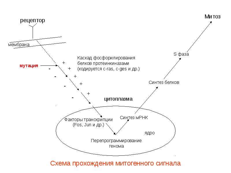 Схема прохождения бури