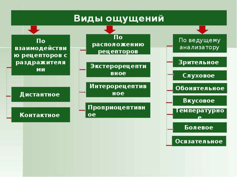 Классификация ощущений в психологии схема