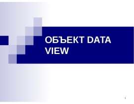 Объект DataView