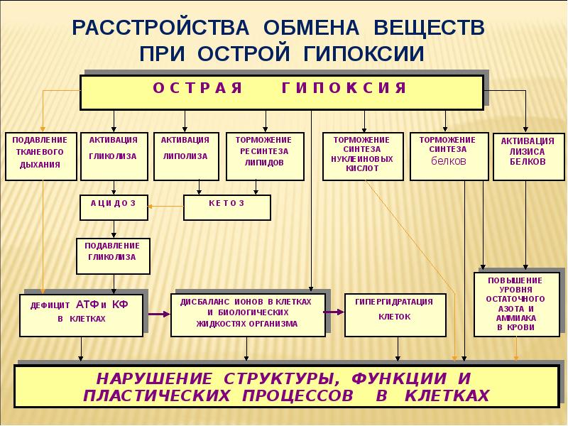 Гемическая гипоксия презентация