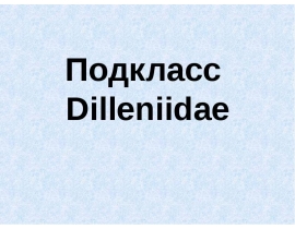 Подкласс Dilleniidae