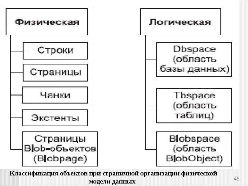 Организация данных презентация