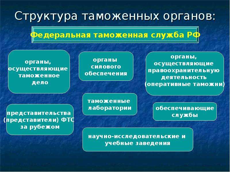 Система органов правоохранительной службы