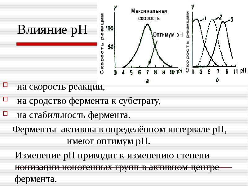 Скорость реакции ферментов