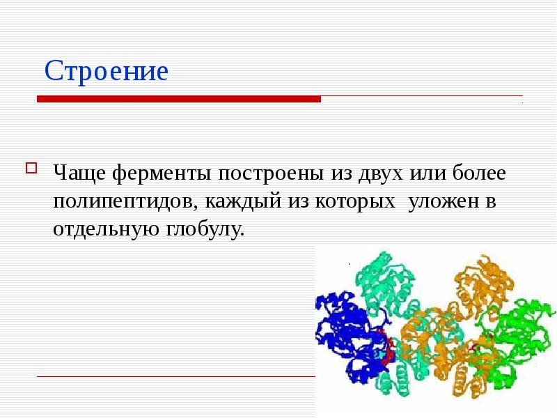 Ферменты презентация 10 класс