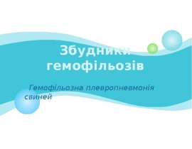 Збудники гемофільозів
