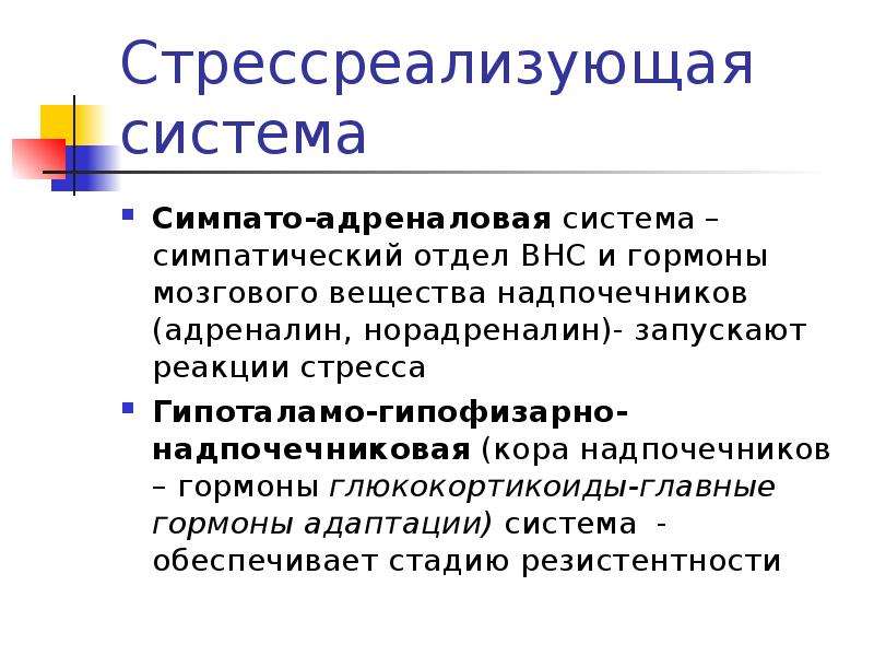 Симпато адреналовая система презентация