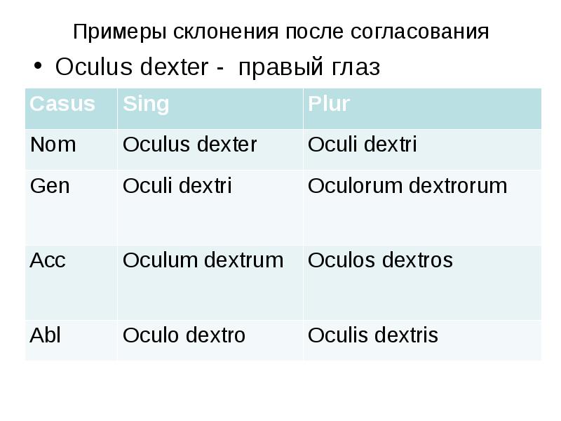 Примеры склонения после согласования Oculus dexter - правый глаз