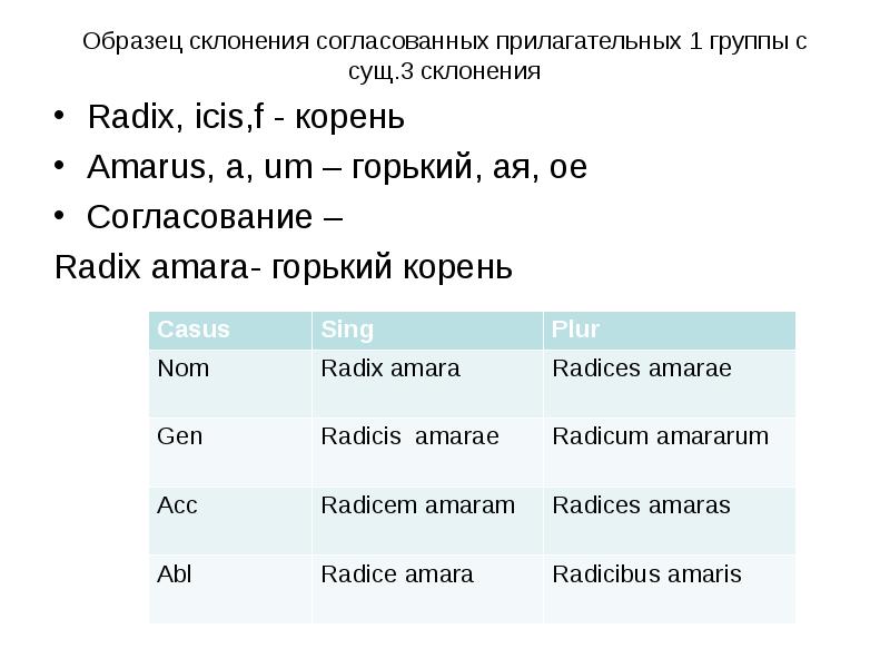 Образец склонения согласованных прилагательных 1 группы с сущ. 3 склонения Radix, icis,f - корень Am